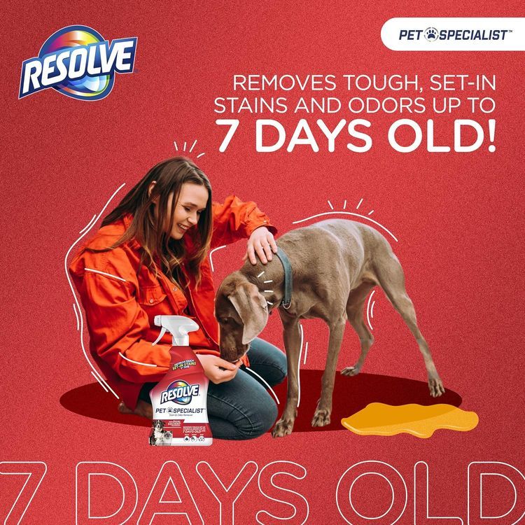 No. 5 - Resolve Pet Specialist Carpet Cleaner - 2