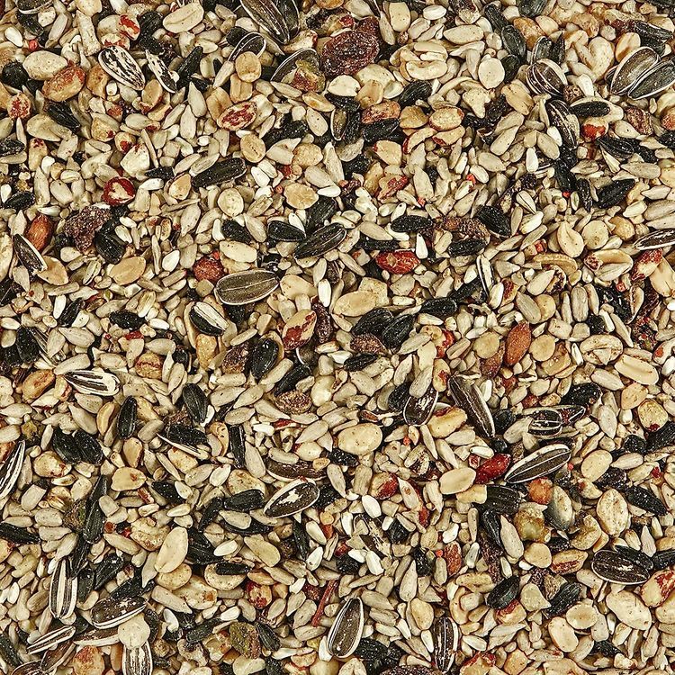 No. 4 - Kaytee Wild Bird Food Nut & Fruit Seed Blend - 3